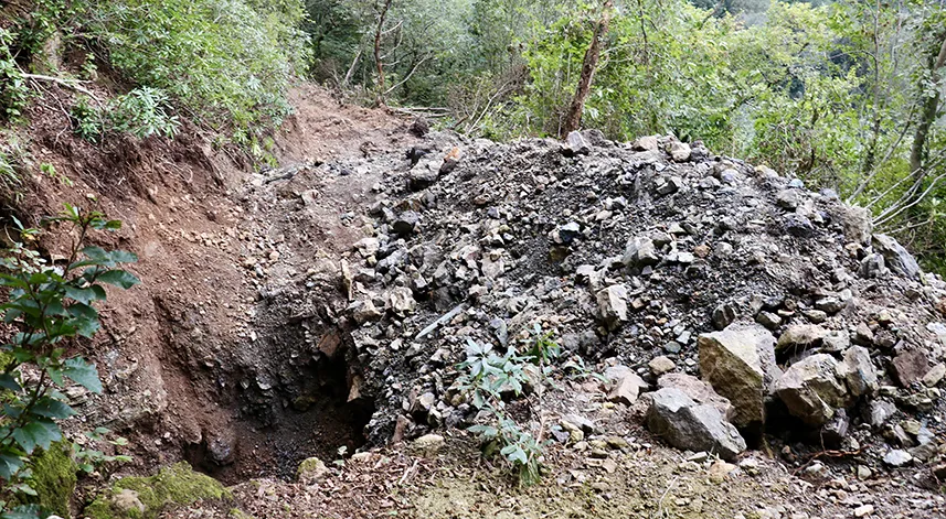 Trabzon'da define aramak için iş makinesiyle ormana yol açılmasıyla ilgili soruşturma