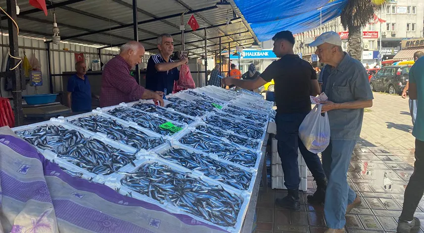 Zonguldak'ta deniz suyunun sıcaklığı balık miktar ve fiyatını olumsuz etkiliyor