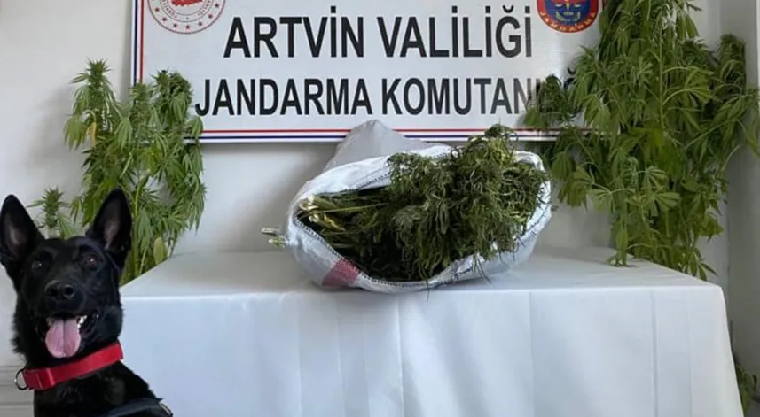 Jandarma uyuşturucu tacirlerine göz açtırmıyor
