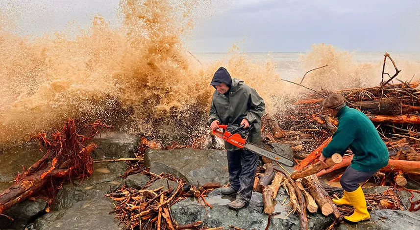 Sel sularının denize getirdiği odunlar kışlık yakacakları oldu