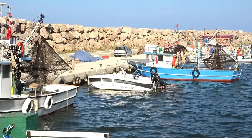 Doğu Karadenizli balıkçılar, palamutta umduğunu bulamadı, hamsi için umutlu