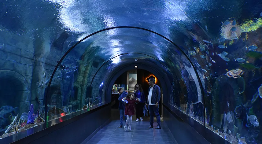 Trabzon'daki Tünel Akvaryum 16 ayda 446 bini aşkın ziyaretçiyi ağırladı