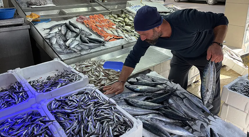 Karadeniz'de balıkçı tezgahları hamsi ve palamutla doldu