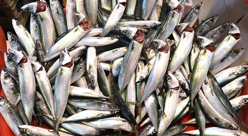 Bebeklerde balık tüketimi anne sütü kadar önemli