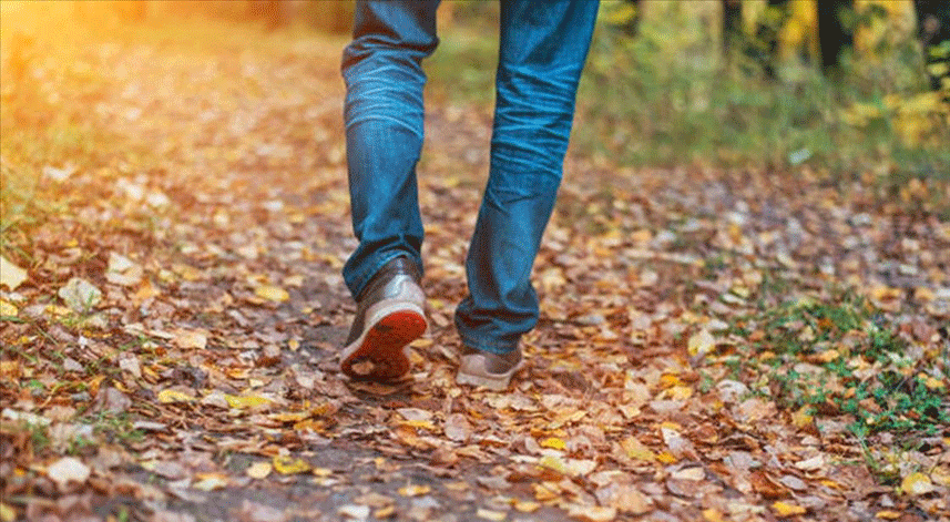 Son yüzyılda insanoğlunun hareket etme oranının yüzde 28'e düştüğü belirtildi