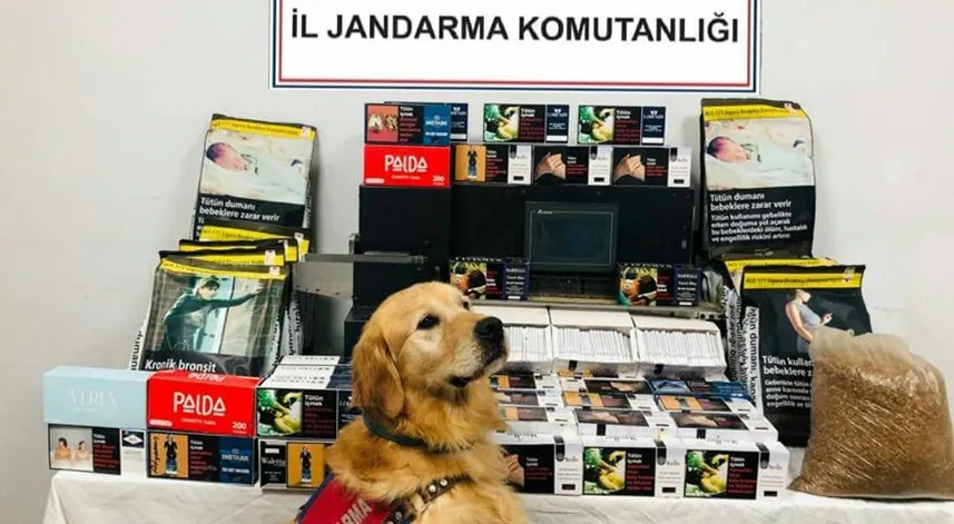 Jandarma ve emniyetten kaçak sigara imalathanesine baskın