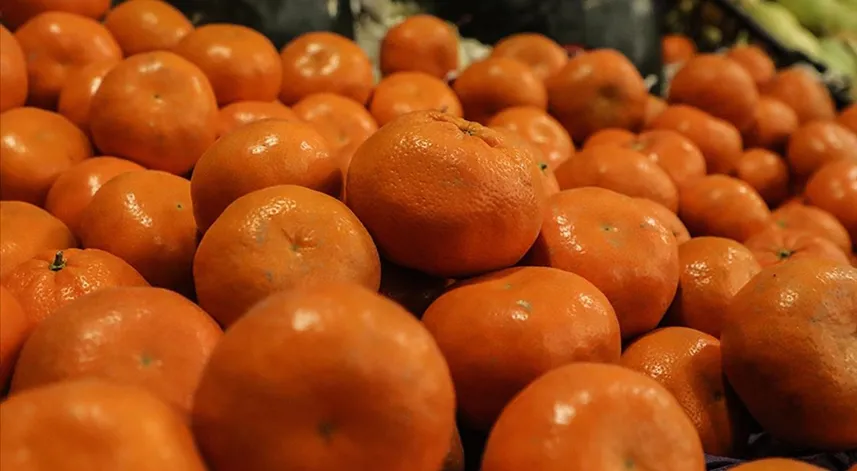 Meyve ve sebzelerin sirke ya da karbonatla yıkanması önerisi