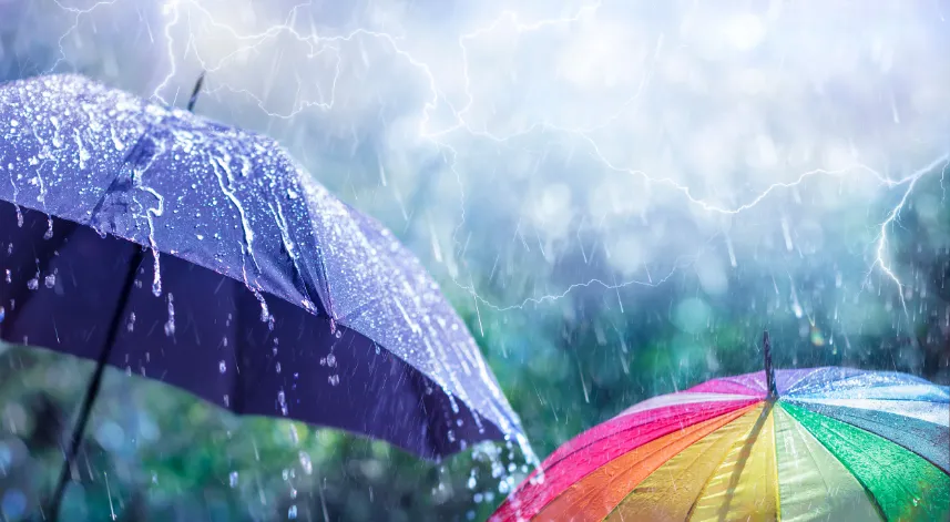 Meteoroloji, Rize için kuvvetli sağanak uyarısı yaptı