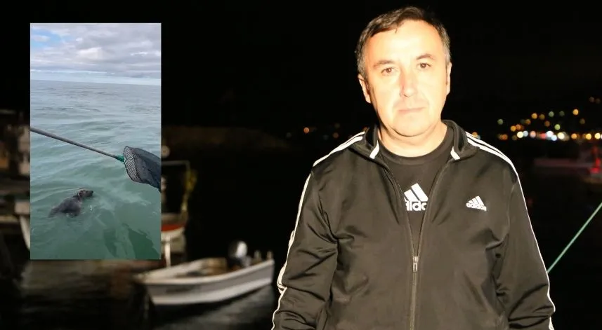 Balıkçılar denizin ortasında bitkin düşen ayıyı kurtardılar