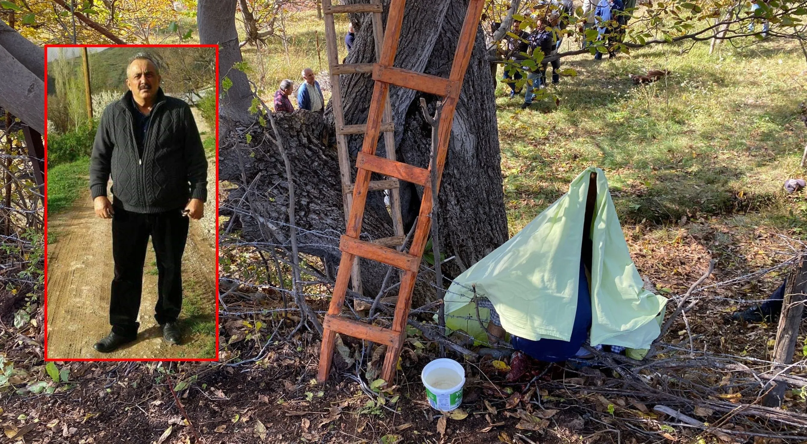 Gümüşhane’de ceviz ağacından düşen adam demire saplanarak hayatını kaybetti