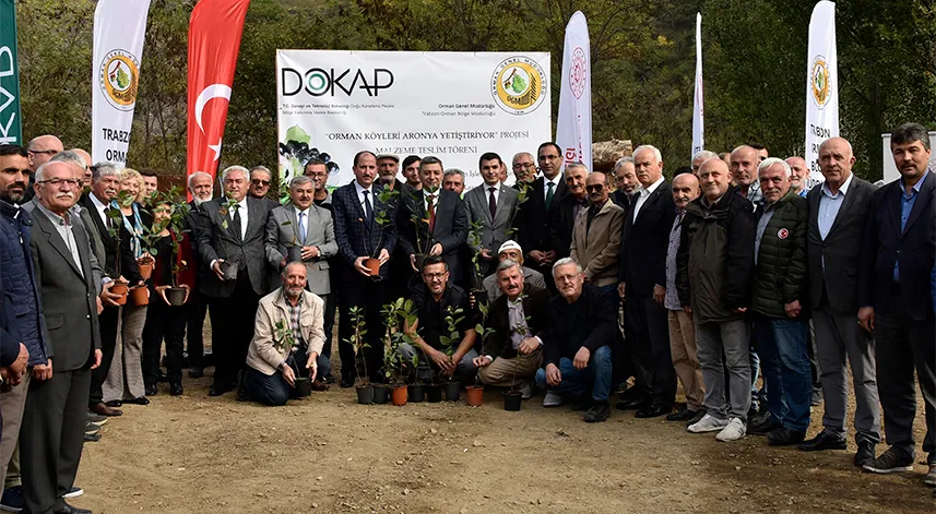 Kürtün süper meyve Aronya ile kalkınacak