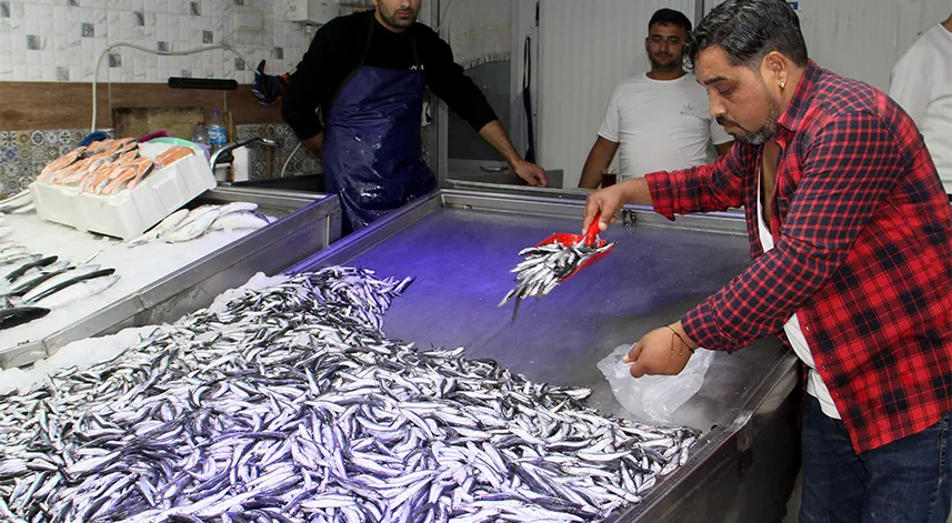 Sinop Merkez Su Ürünleri Kooperatif Başkanı Ünlü, balık avı sezonunu değerlendirdi