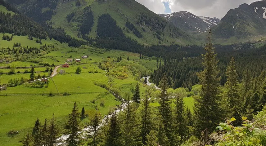 Rize’nin huzurlu yaylası: Çifteköprü Yaylası
