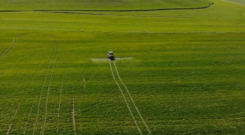Tarım ÜFE ekimde aylık yüzde 1,13 azalırken yıllık yüzde 62,56 arttı