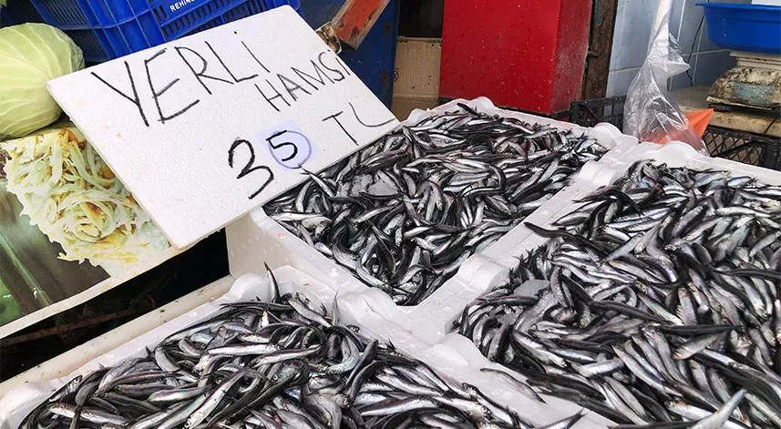 Rize’de hamsi bolluğu sürüyor
