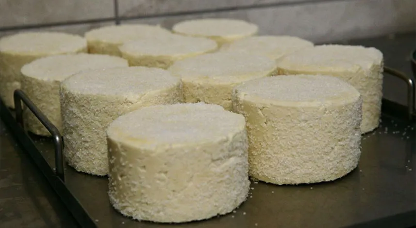 Mengen'in coğrafi işaretli peyniri, kooperatif çalışmasıyla ününü yayacak