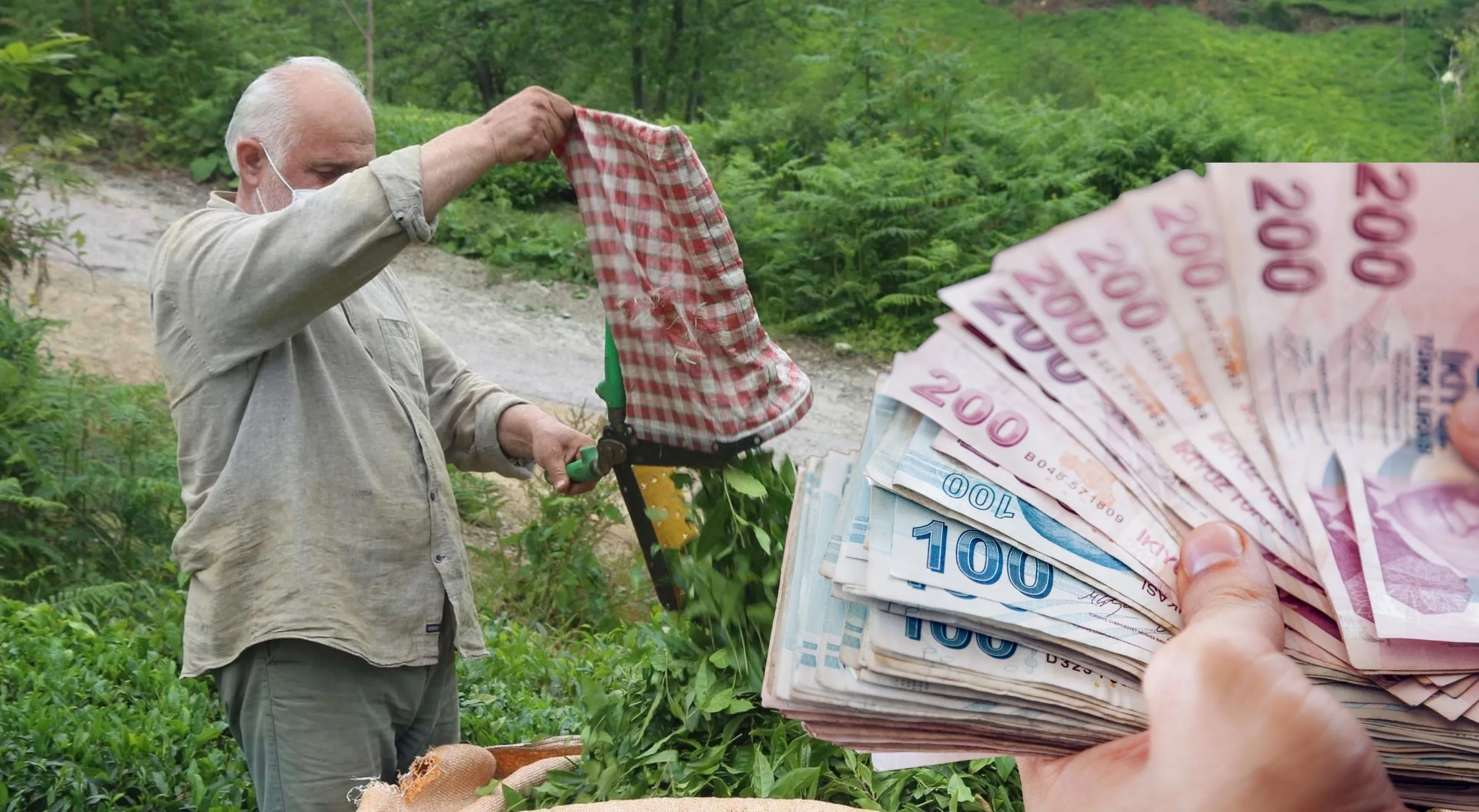 Emekli çiftçilere 5 bin TL ikramiyede son durum 