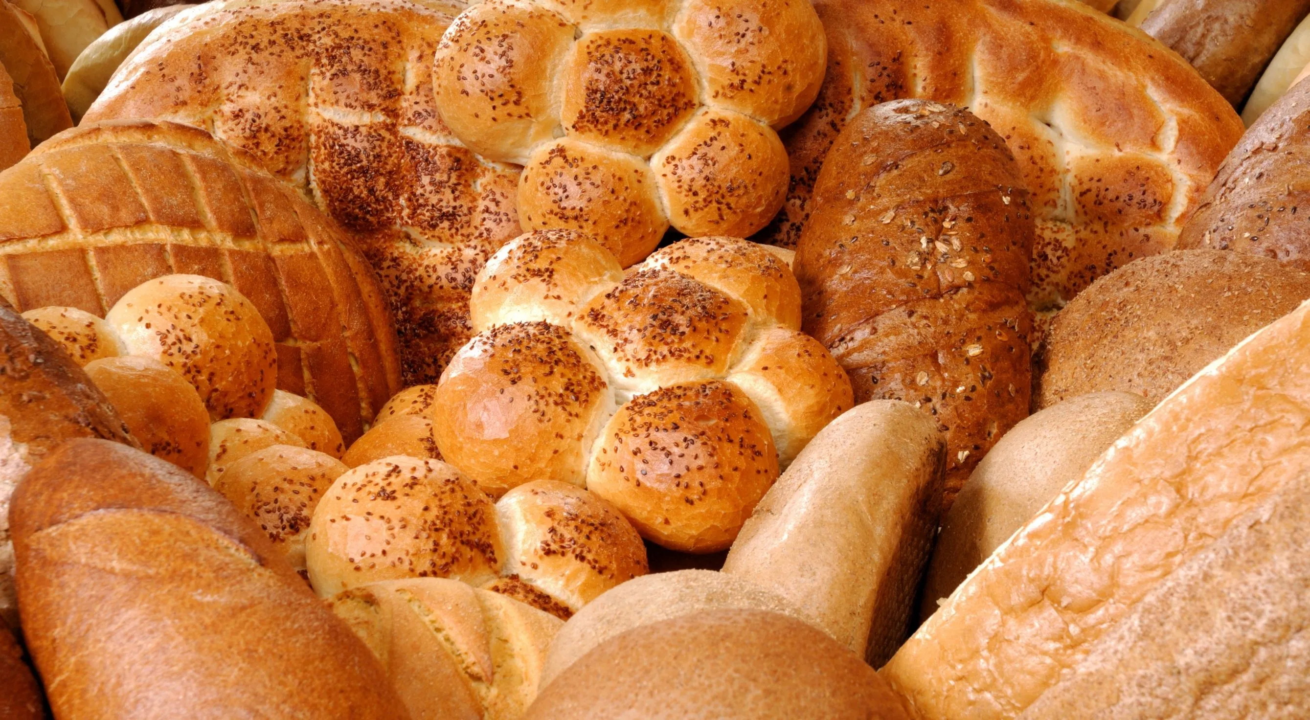 Rize'de ekmek fiyatlarına zam kapıda