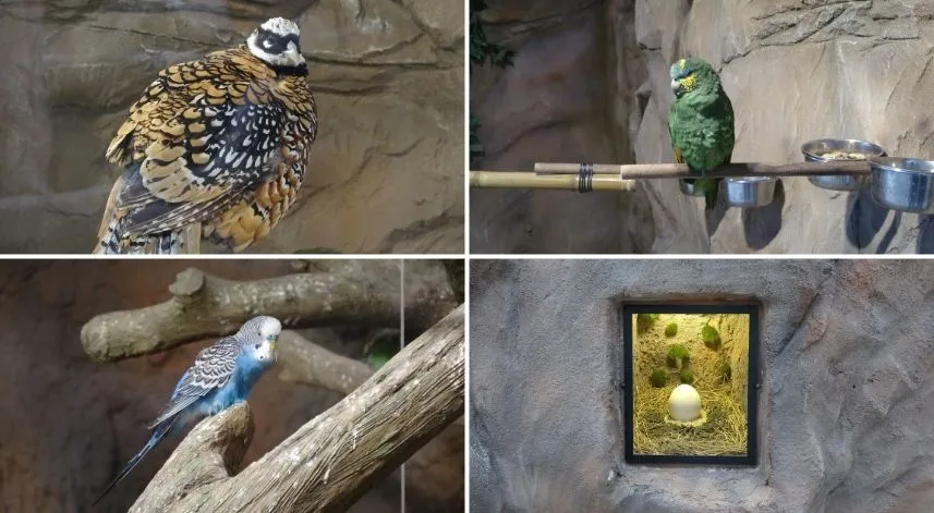 Karadeniz Bölgesi'nde ilk olma özelliği taşıyor