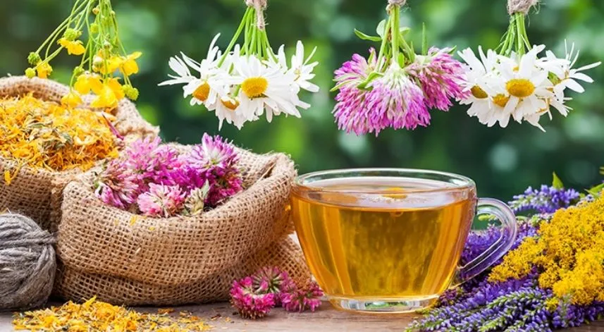 Bitki çaylarının zararları nelerdir?