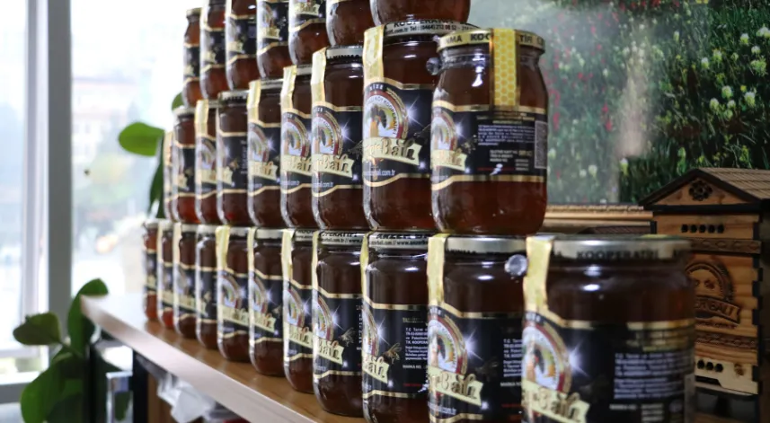 Coğrafi işaretli Anzer Balları’nın satışı başladı