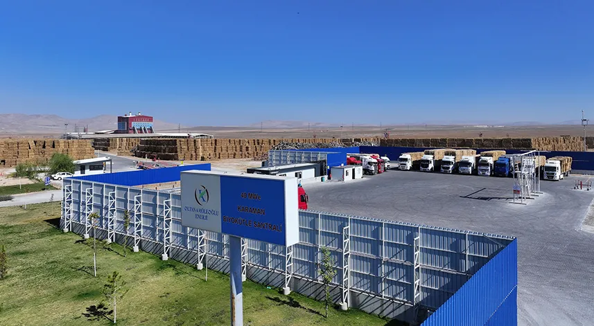 Oltan Köleoğlu Enerji’ye BES dalında brincilik ödülü