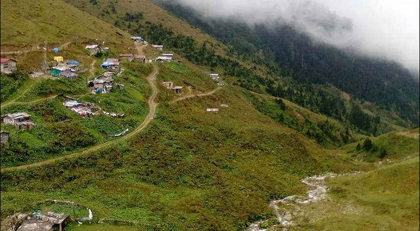 Yediçukur Yaylası: Huzurlu bir kaçış noktası