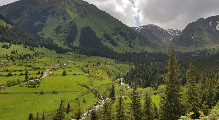 Rize’nin huzurlu yaylası: Çifteköprü Yaylası
