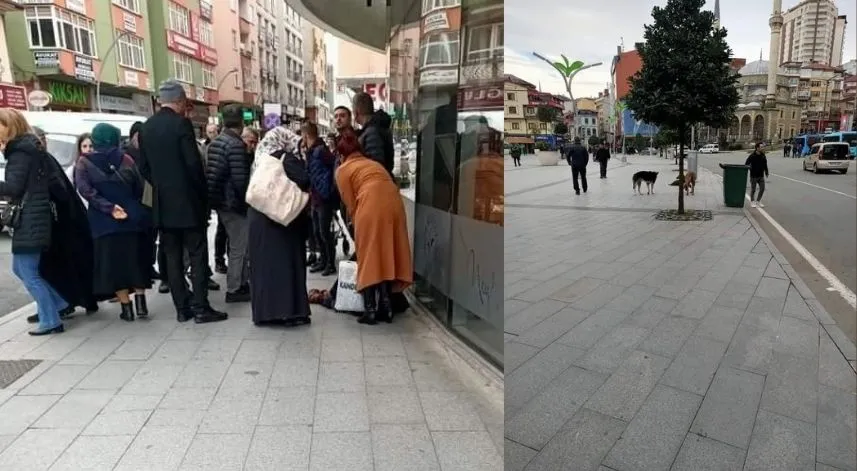 Rize'deki sahipsiz köpekler 70 yaşındaki kadına saldırdı
