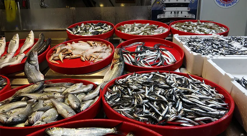 Karadeniz’de son 25 yılın en bereketli günü