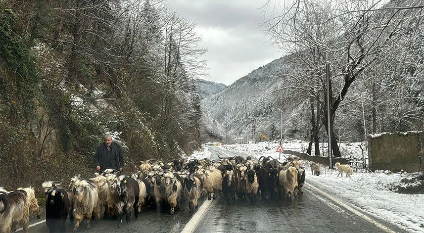 Doğu Karadeniz'de ulaşım sağlanamayan 395 köy yolundan 58'si açıldı