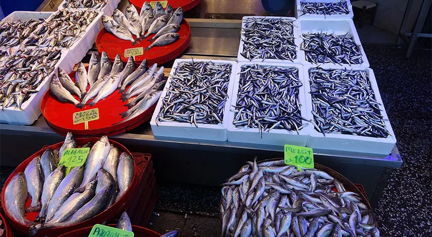 Hamsi avı düşüşe geçti, fiyatı ikiye katlandı