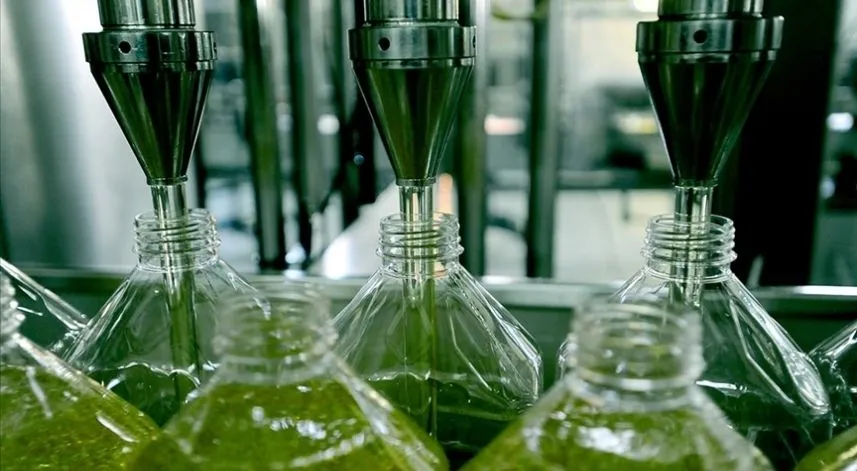 Zeytinyağında sahtecilik uyarısı