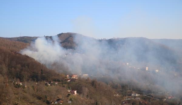 Zonguldak’ta 380 metrekare ormanlık alan yangından etkilendi