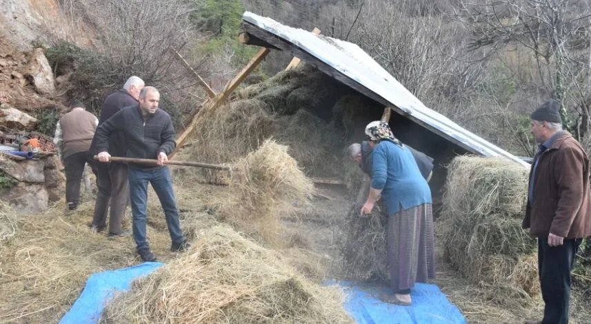 Heyelanda çöken ahırdaki iki büyükbaş telef oldu