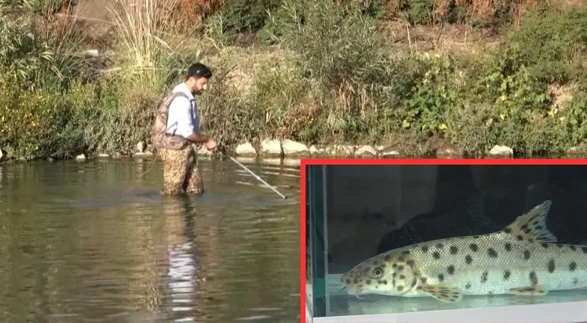 RTEÜ'lü akademisyenlerden önemli keşif 