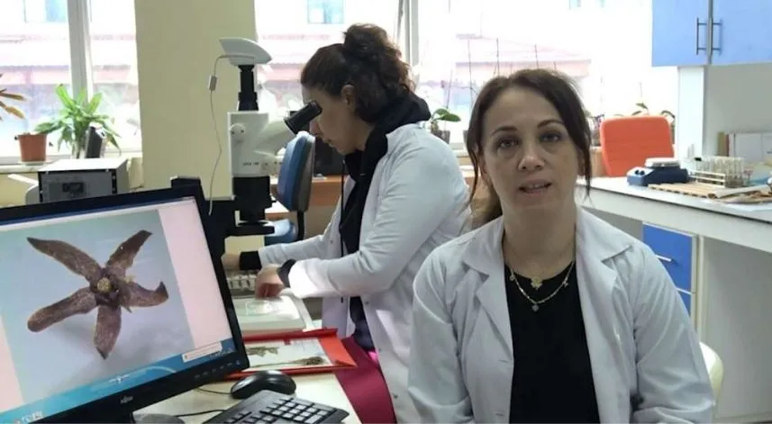 RTEÜ'lü akademisyenler endemik türü keşfetti