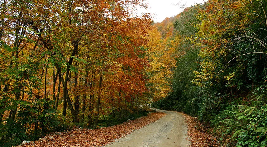 Rize'de gezilecek yerler nelerdir?	