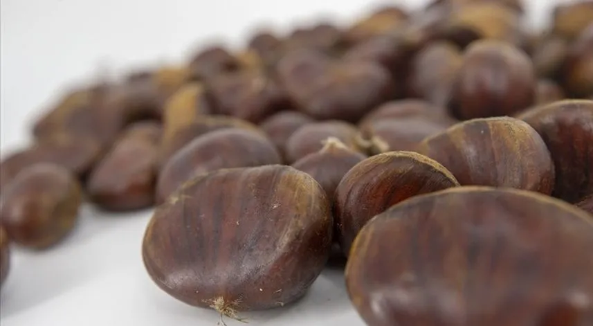 Kestane ithalatı gözetim uygulaması kapsamına alındı