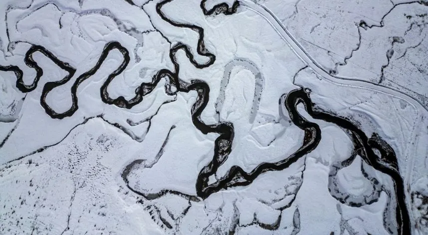 Doğanın kılcal damarları