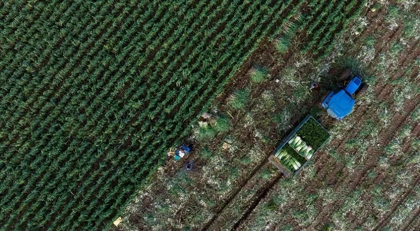 Çiftçilere bugün yaklaşık 9,4 milyar lira destekleme ödemesi yapılacak