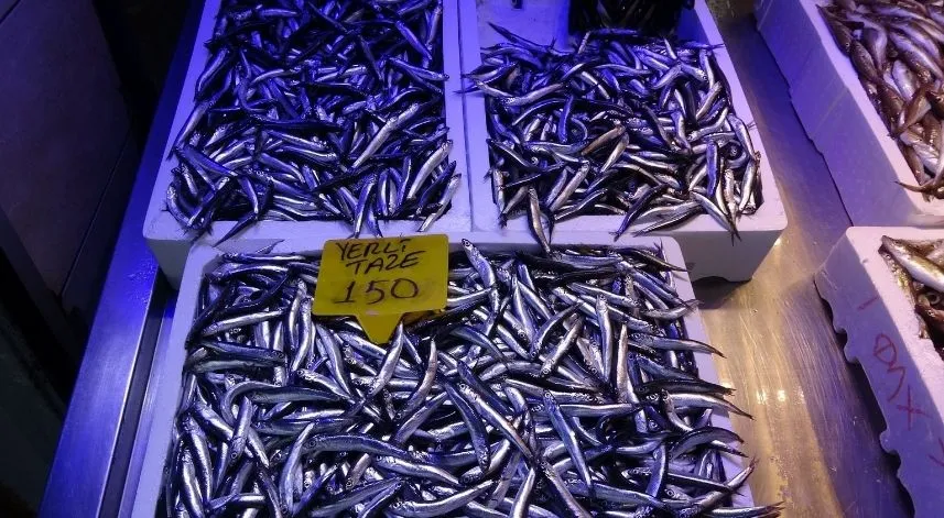 Kilosu 150-180 TL arasında satılan hamsi fiyatıyla şaşırtıyor