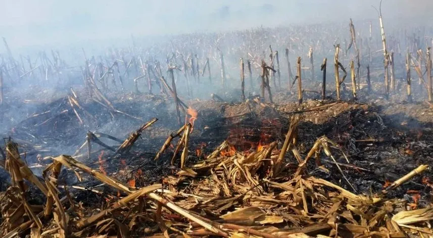 Rize’de anız yangını tehlikesi