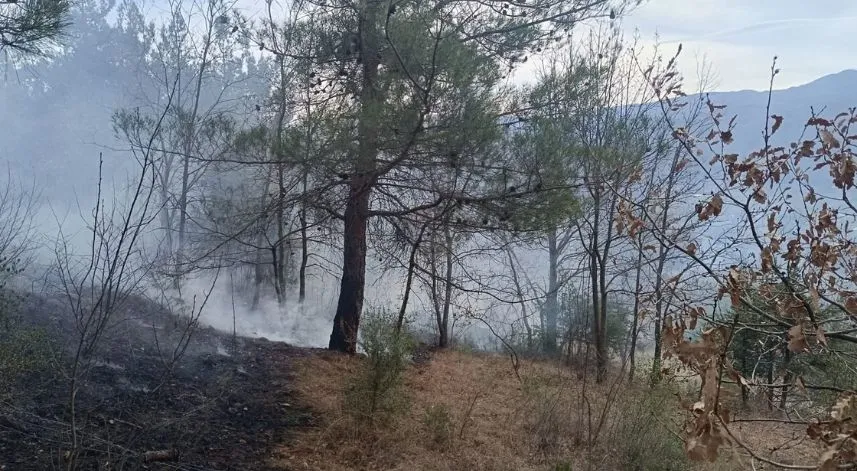 Niksar'da çıkan örtü yangını söndürüldü
