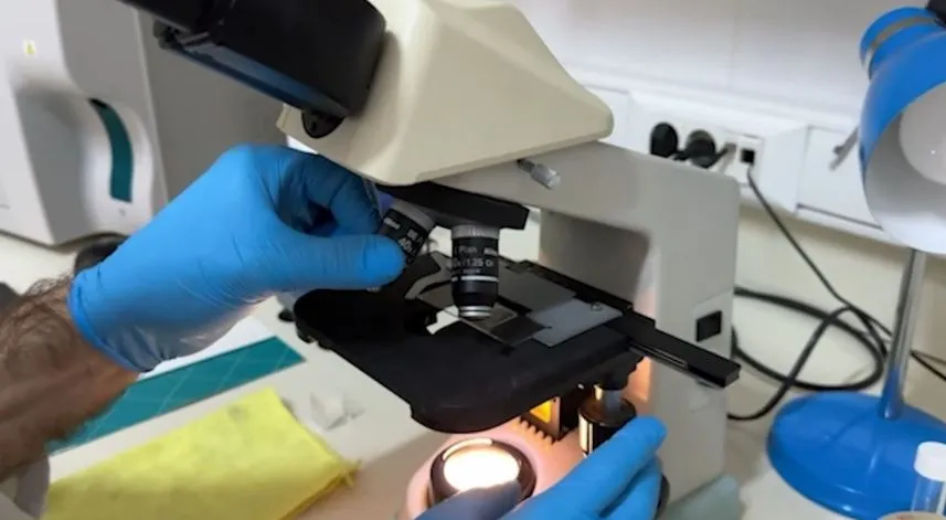 Recep Tayyip Erdoğan Üniversitesi'nde balık hastalıkları ile ilgili çalışmalar sürüyor