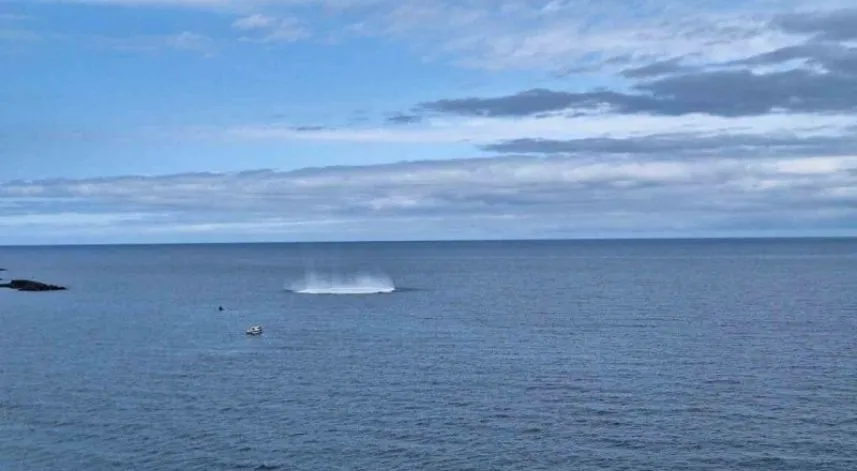 Trabzon açıklarında sıcak dakikalar