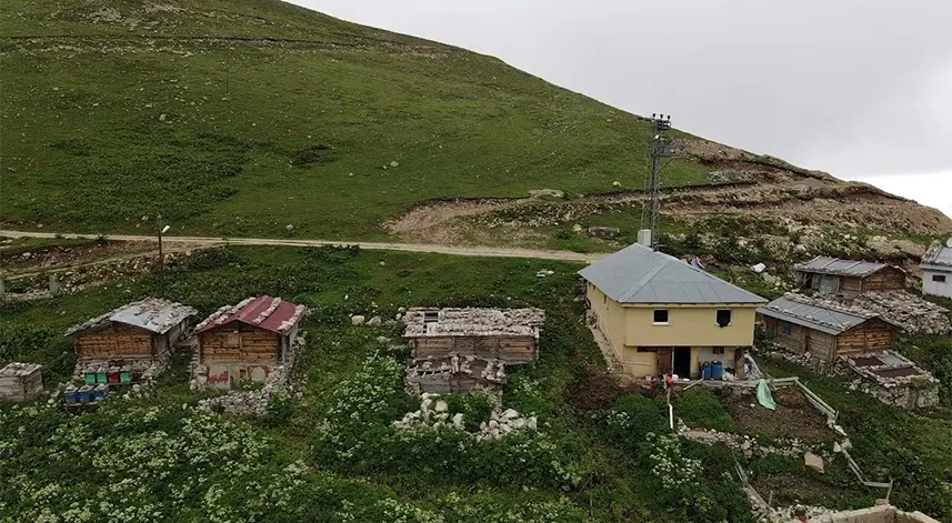 Rize'nin Çirmaniman Yaylası'nda yüksek rakımlı huzur