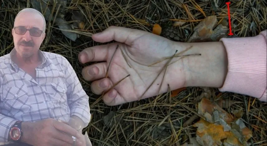 9 yaşında ölü bulunmuştu, babası 19 yıl sonra tutuklandı