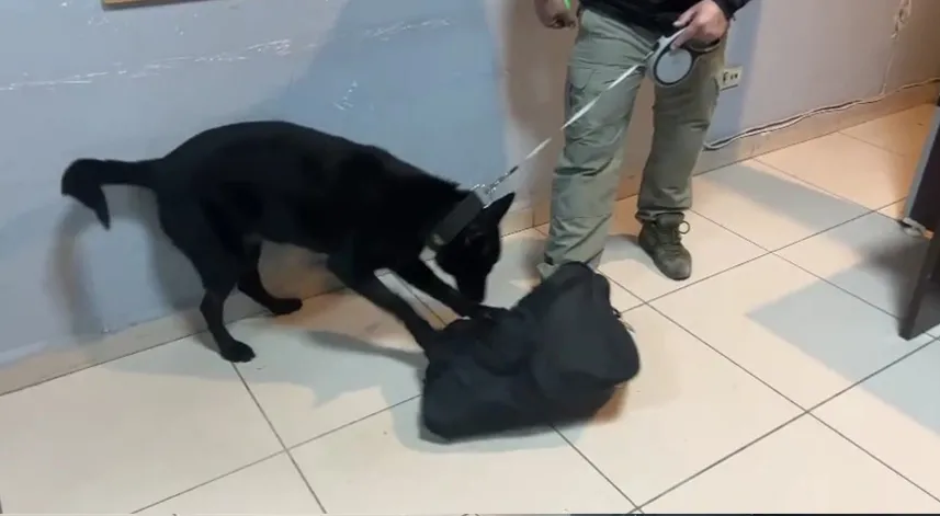 Peçeteye emdirilmiş 2 bin içimlik bonzaiyi 