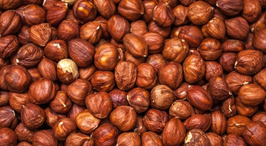 Türkiye'nin 6 aylık fındık ihracatı 1,2 milyar doları aştı